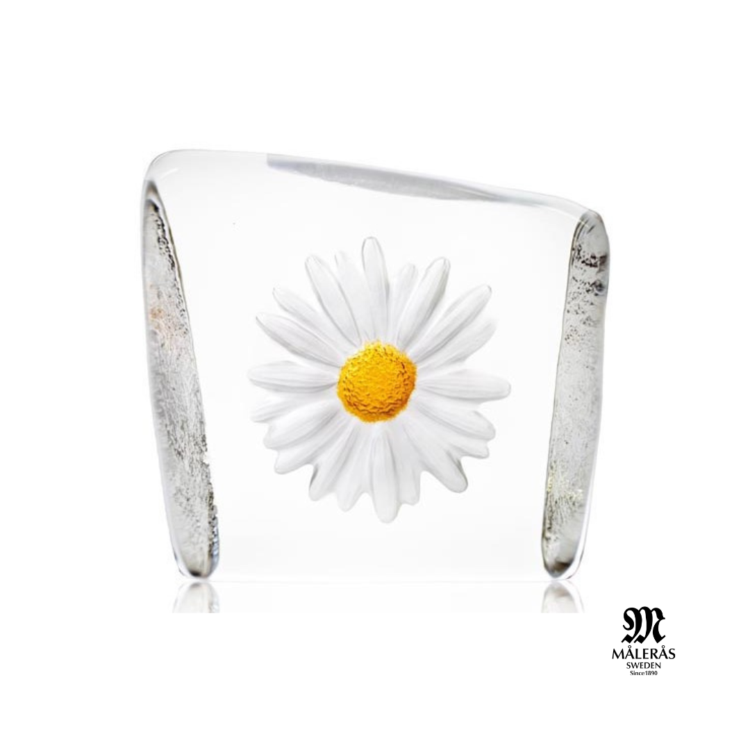 DAISY Diseño Mats Jonasson Maleras